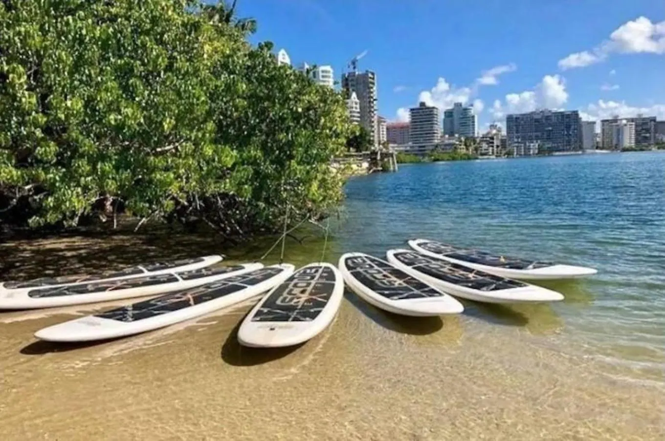 Pr Rentals Expectacular Location San Juan Puerto Rico